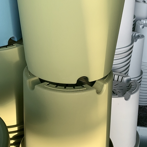 红陶7加果绿无托微瑕3个