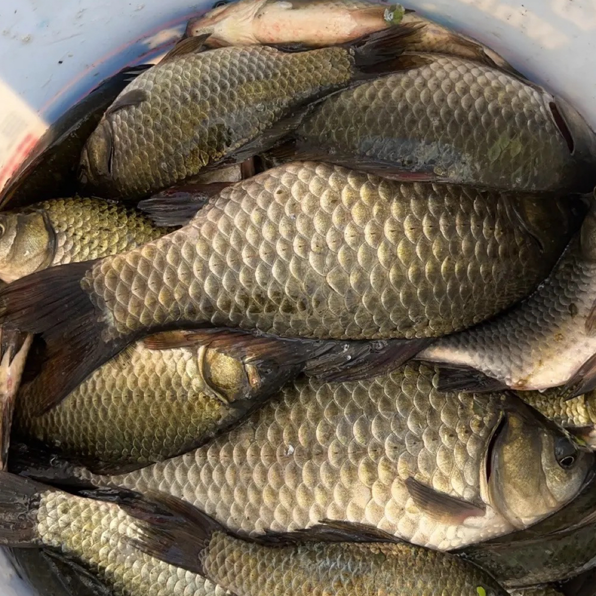 京津冀外省快递改价