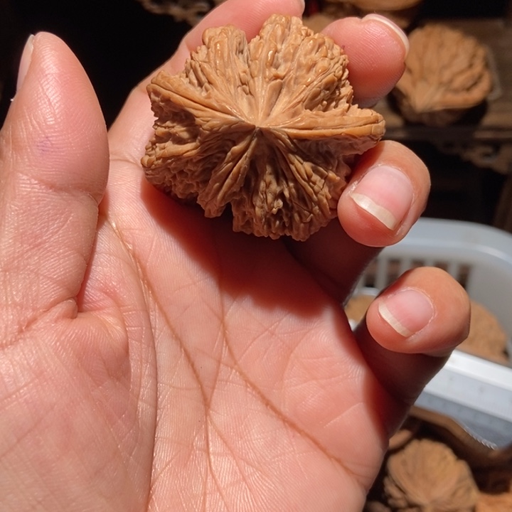 放***牛核桃南疆石连体尺寸45全品