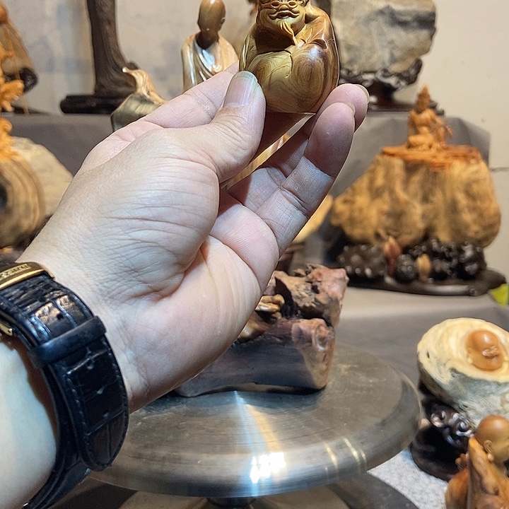 柏木财主太行崖柏料