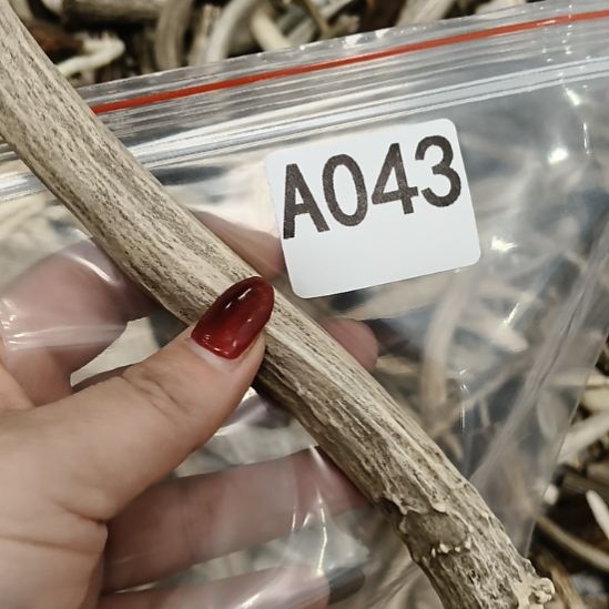 。***铭鹿角鹿角鹿角鹿角鹿