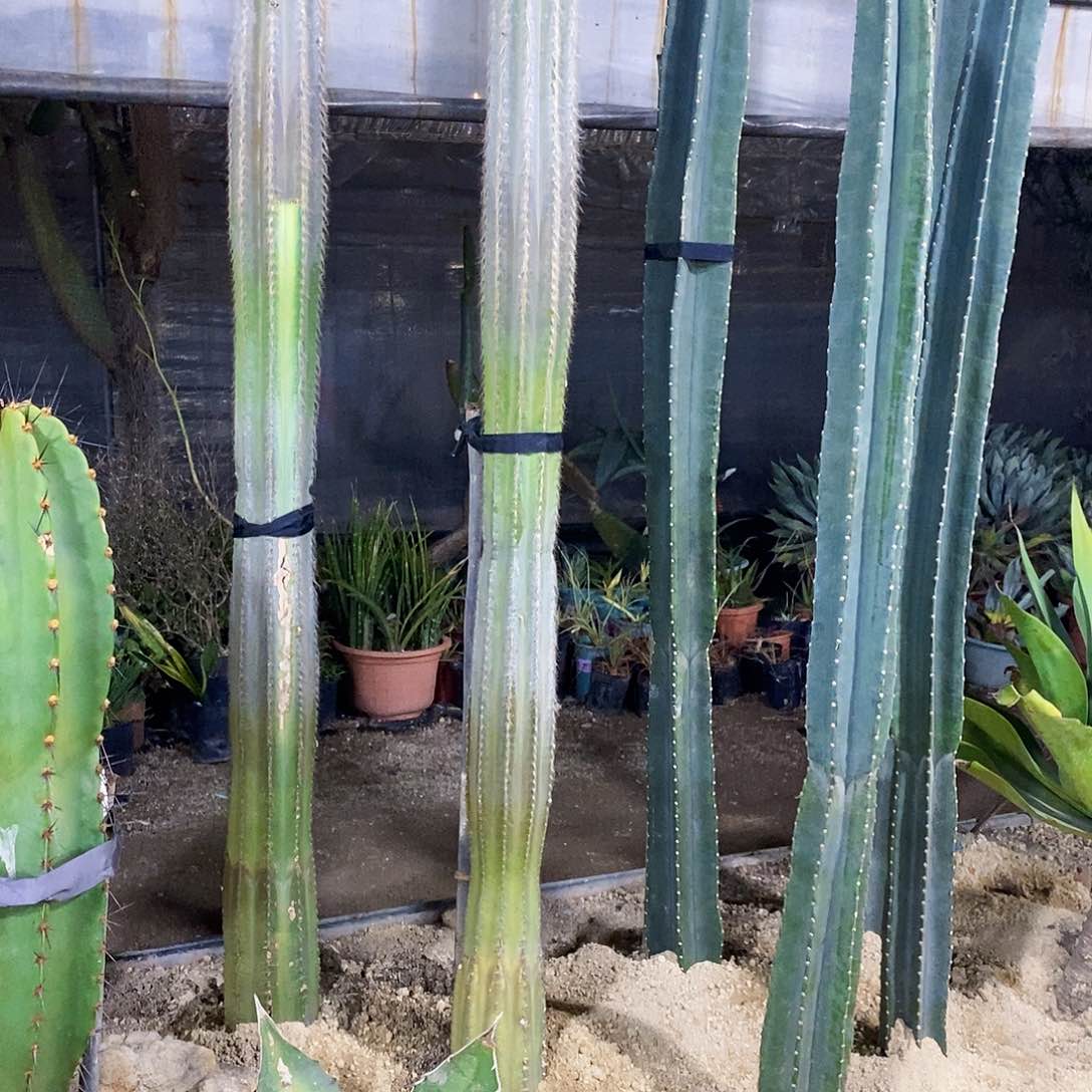 盈*.00000000000000000000