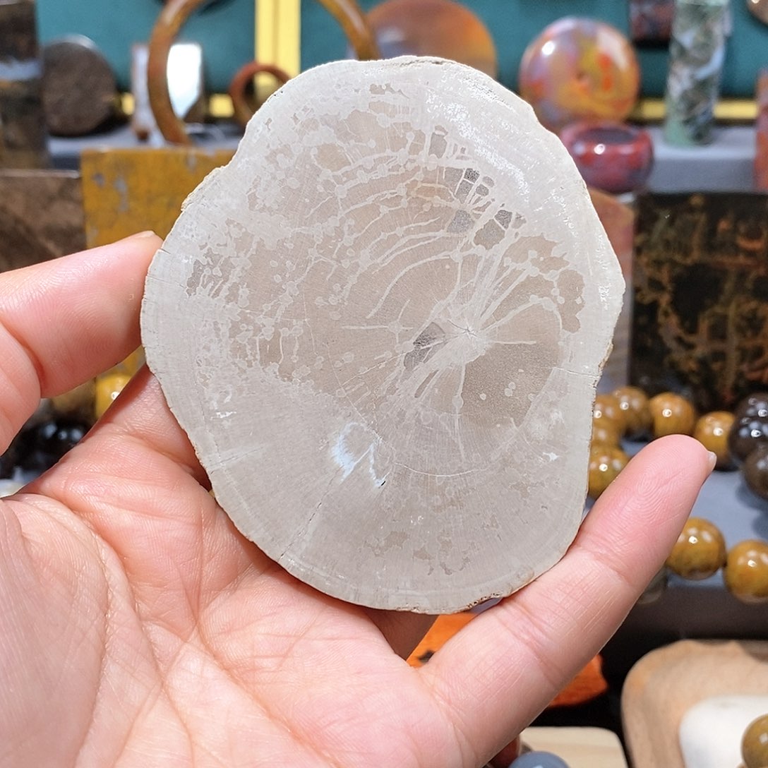 硅化玉天然北票硅化玉原石未镶嵌