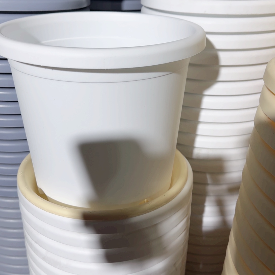 树脂四季4#无拖纯白10个