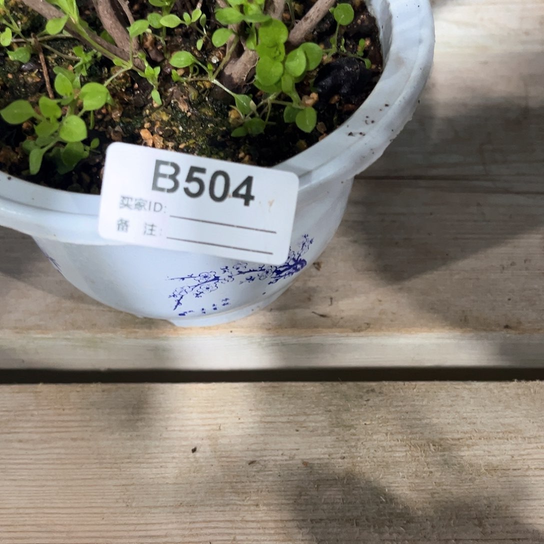 直播时间一直一直