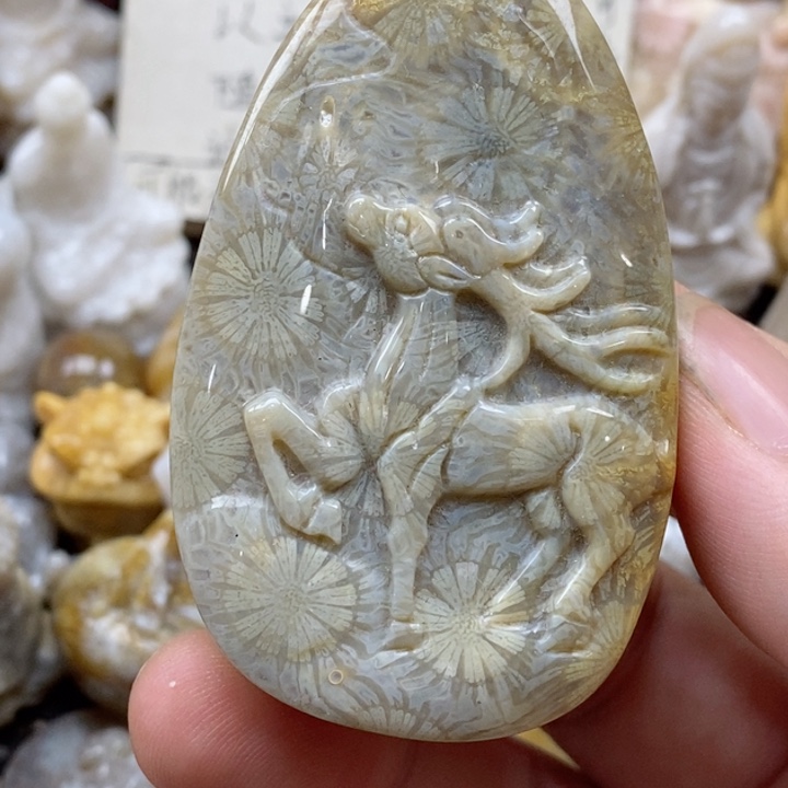 颈饰未镶嵌硅化珊瑚（珊瑚玉）