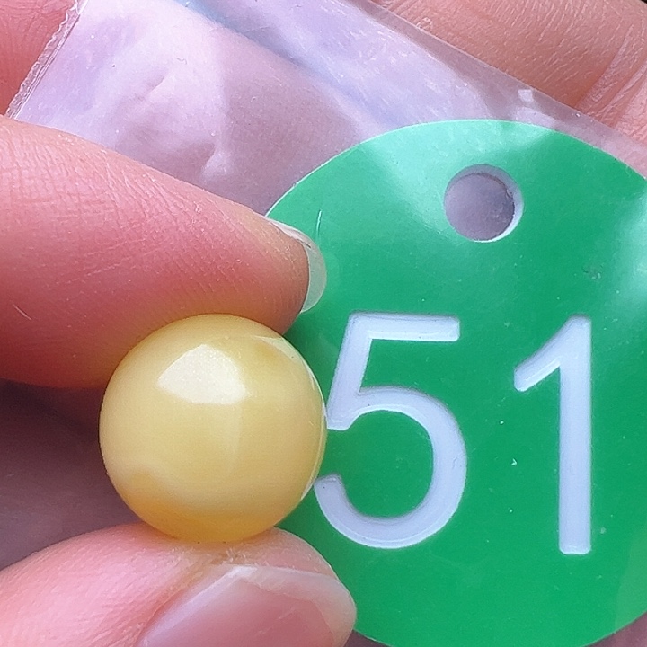 蜜蜡裸石未镶嵌金沙12.2m m