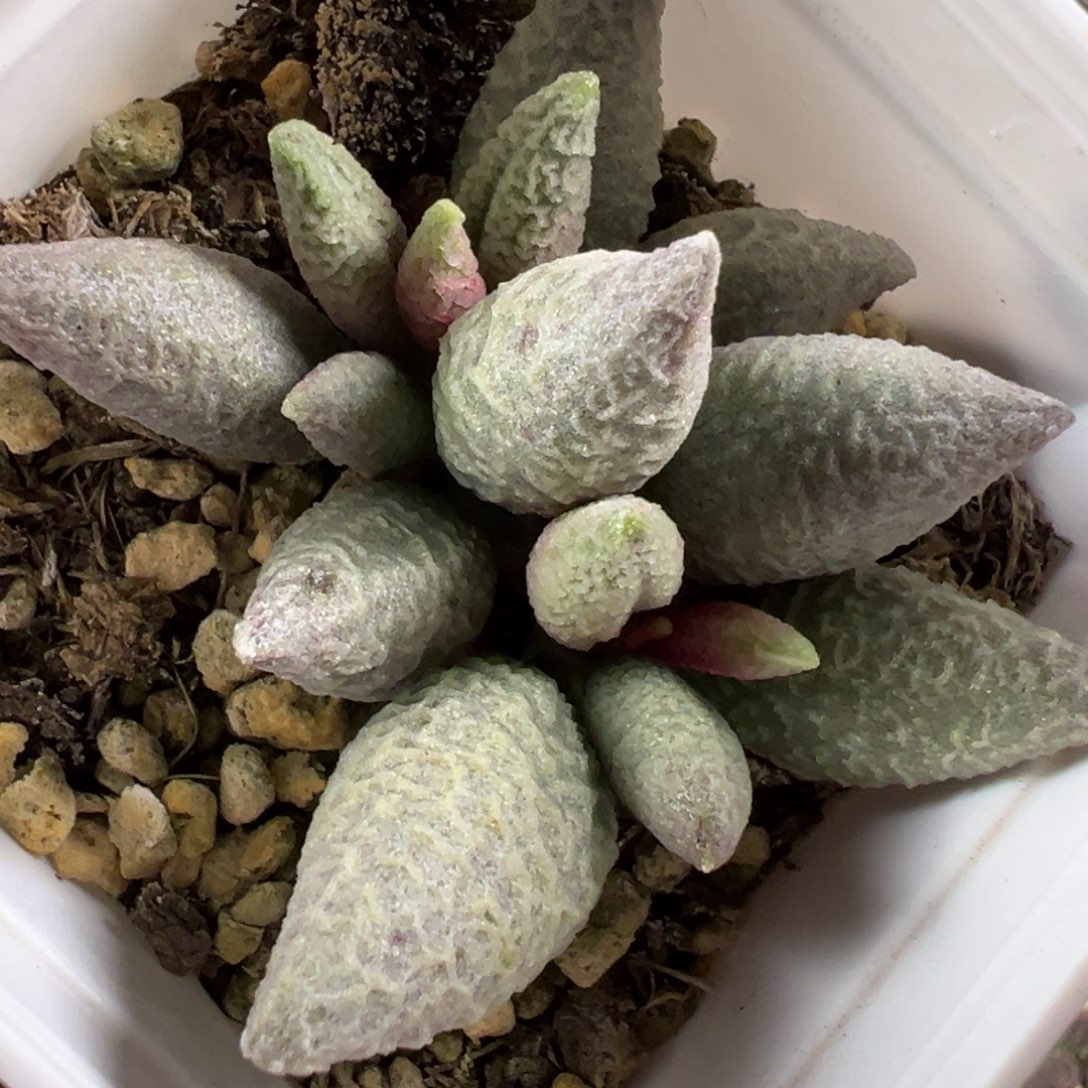 融化纹冰淇淋水泡