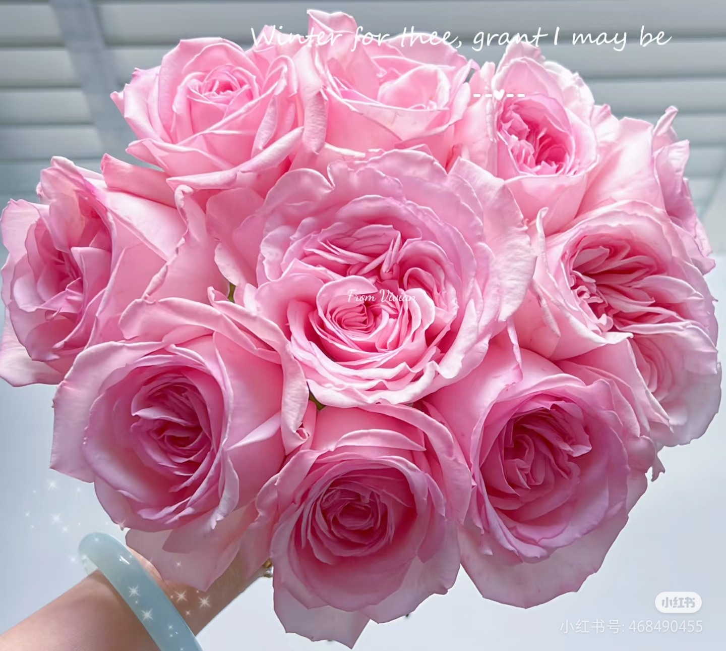 楚楚动人四季开花浓香