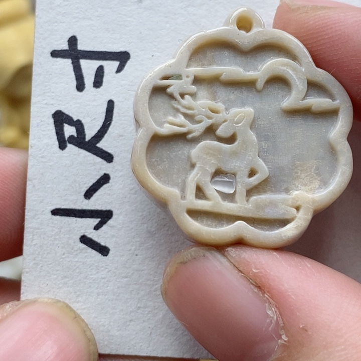 颈饰未镶嵌硅化珊瑚（珊瑚玉）