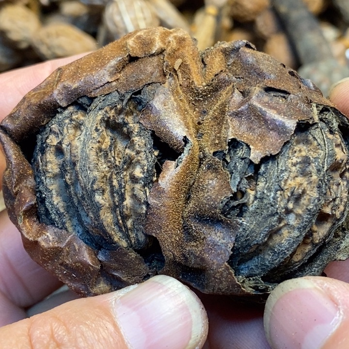 桃核吊坠娜姐真的15