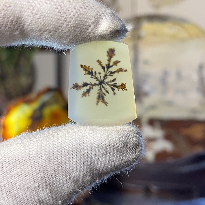 冰底黑花画面景色