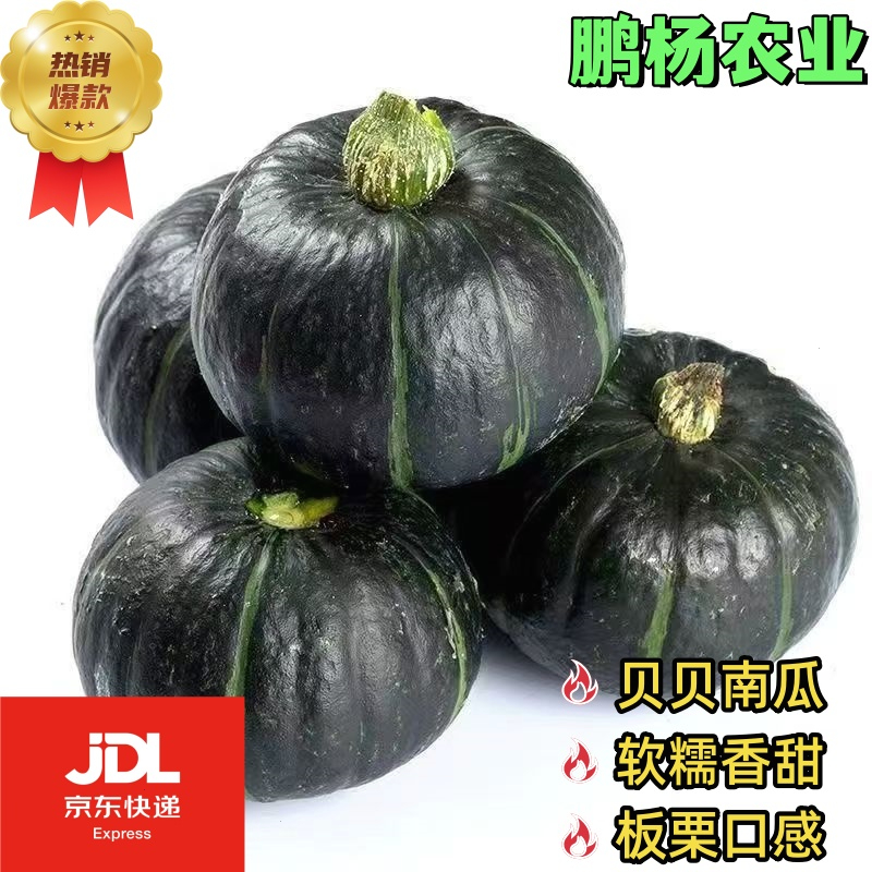 必备的的贝贝南瓜金黄餐桌温馨膳食暖冬中老年色泽！，点亮