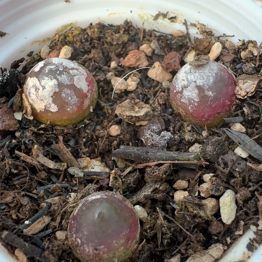 67灯灯00000000000000