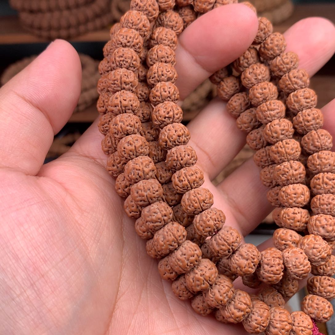 手串金刚菩提遥**来南瓜