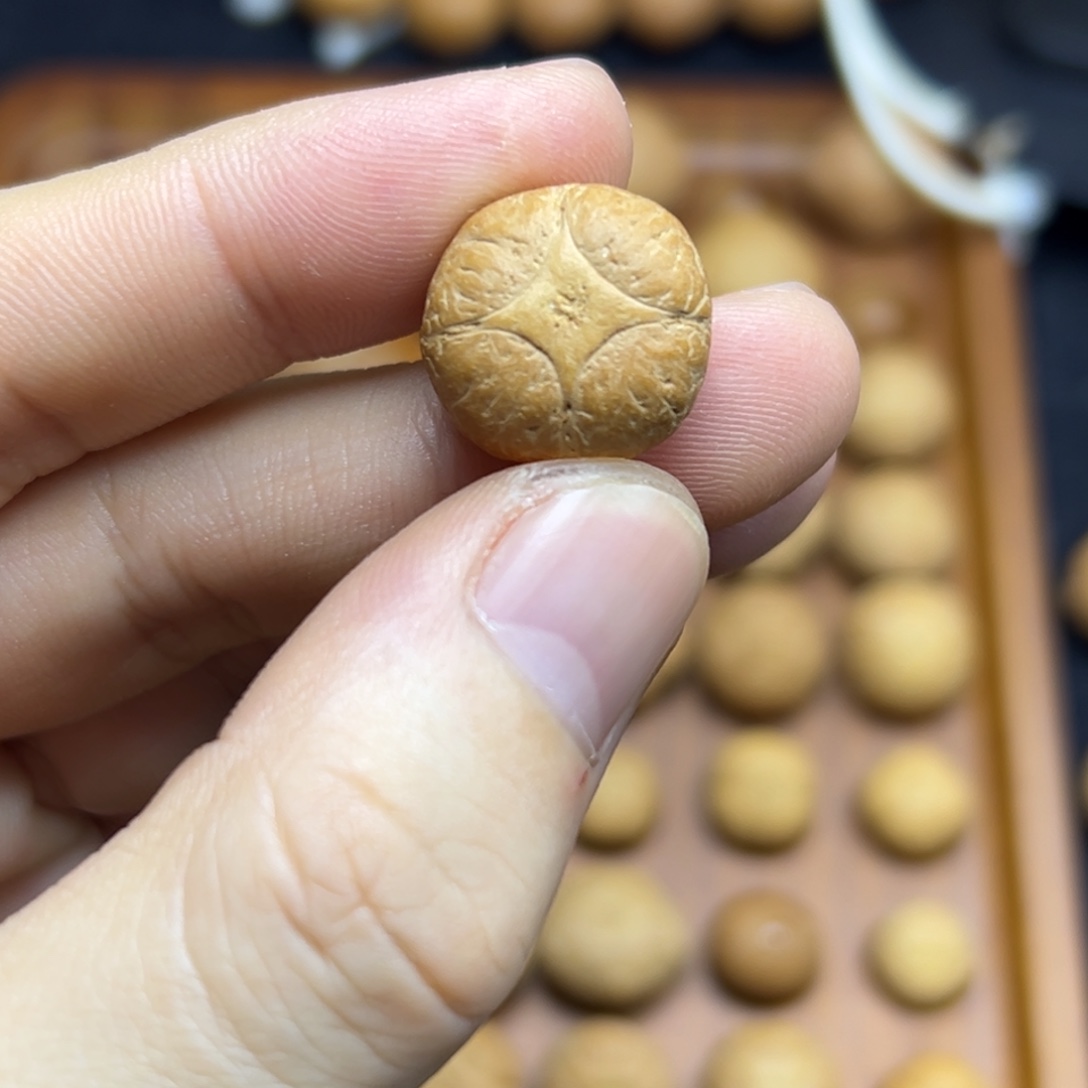手串凤眼菩提17.8麒麟眼