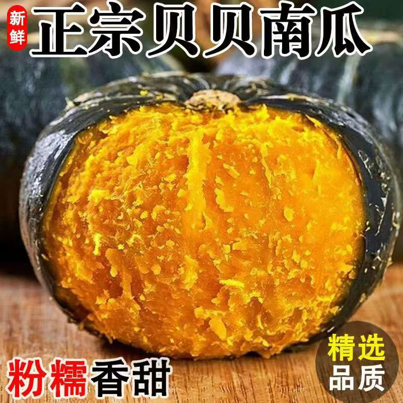 【不粉不糯包赔】爆粉沙地真贝贝石头地南瓜粉糯香甜板栗味宝宝辅食