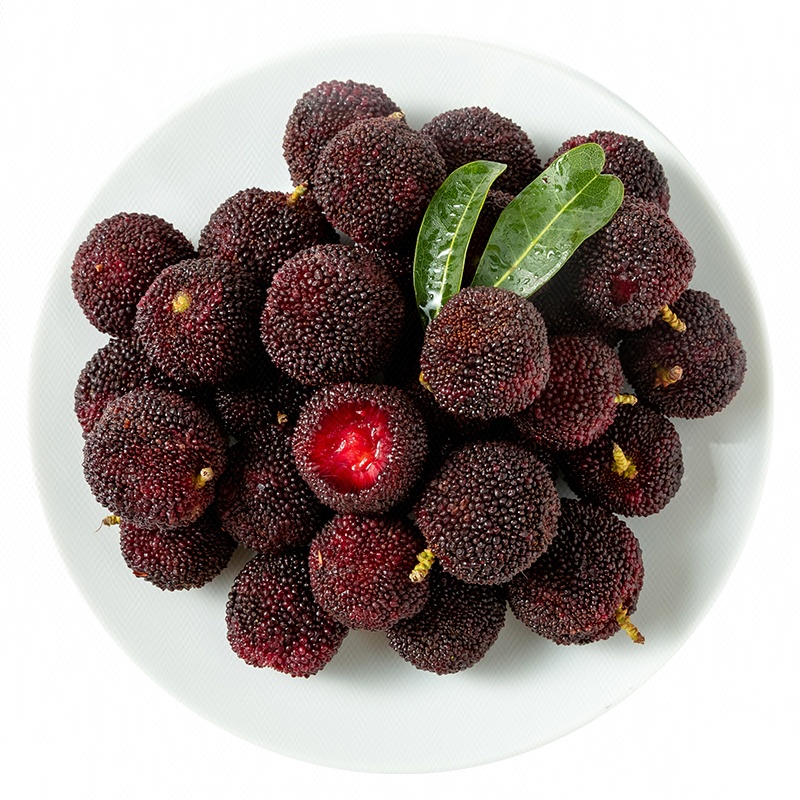 高山小黑炭（荸荠）杨梅 400g