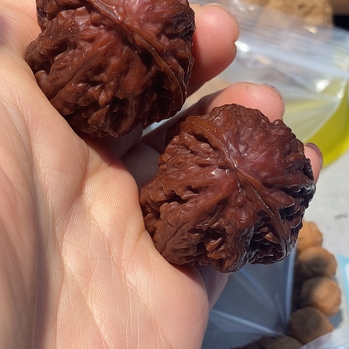 文玩核桃把件7777788788¥¥¥