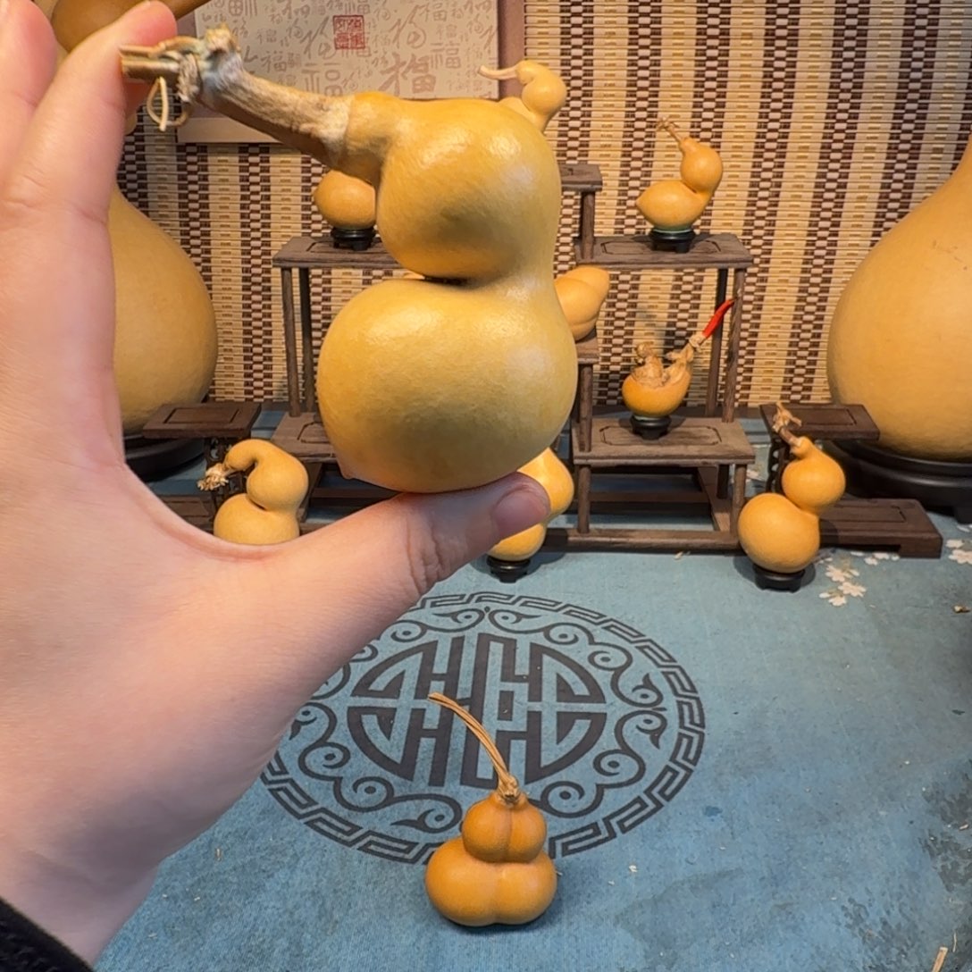 夜***问手把蚂蚁弓背贴肚