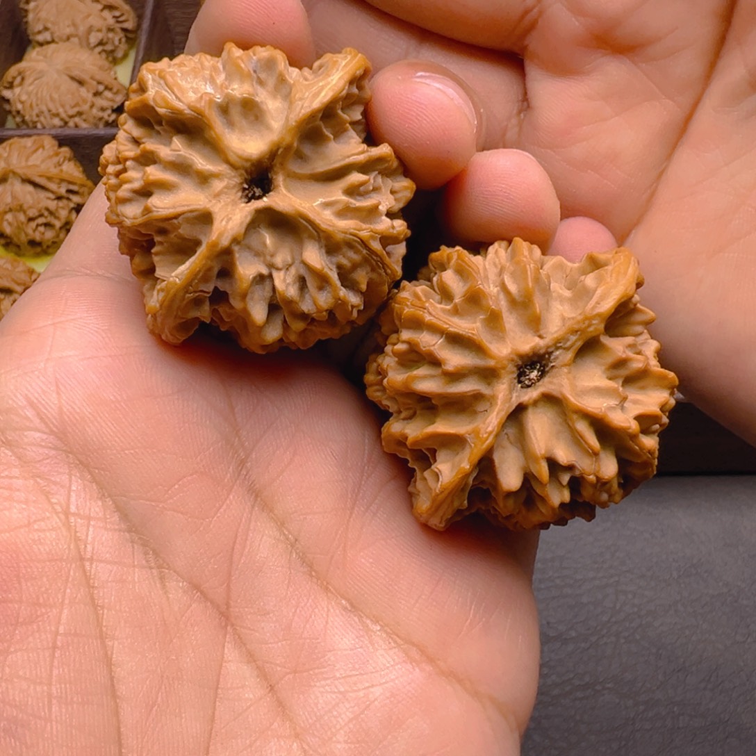 文玩核桃把件42➕苹果园