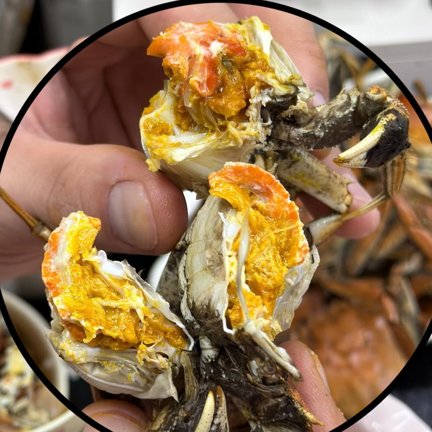 公母组合【活蟹】盘锦河蟹稻田0.8-1.1两2斤/3斤（京东包邮）