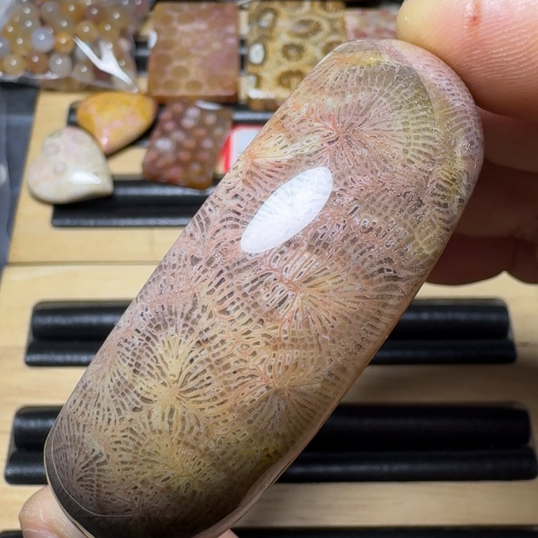 硅化玉纯天然色有机玉石未镶嵌55.5圈口