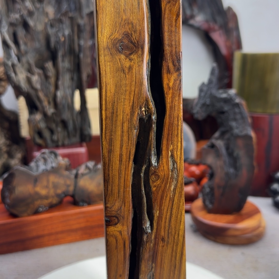 大果紫檀（缅甸花梨）开*