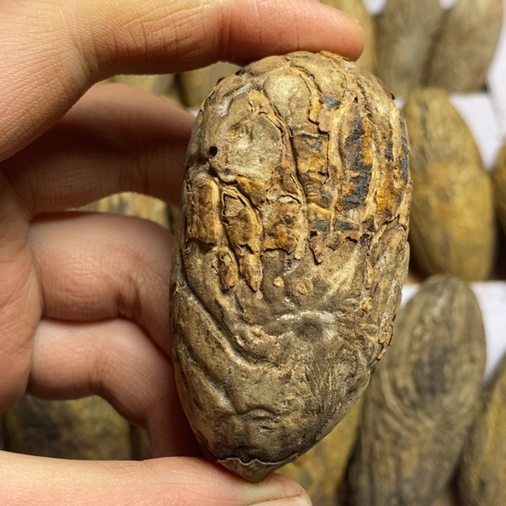 小***哥千眼菩提吊坠菩提