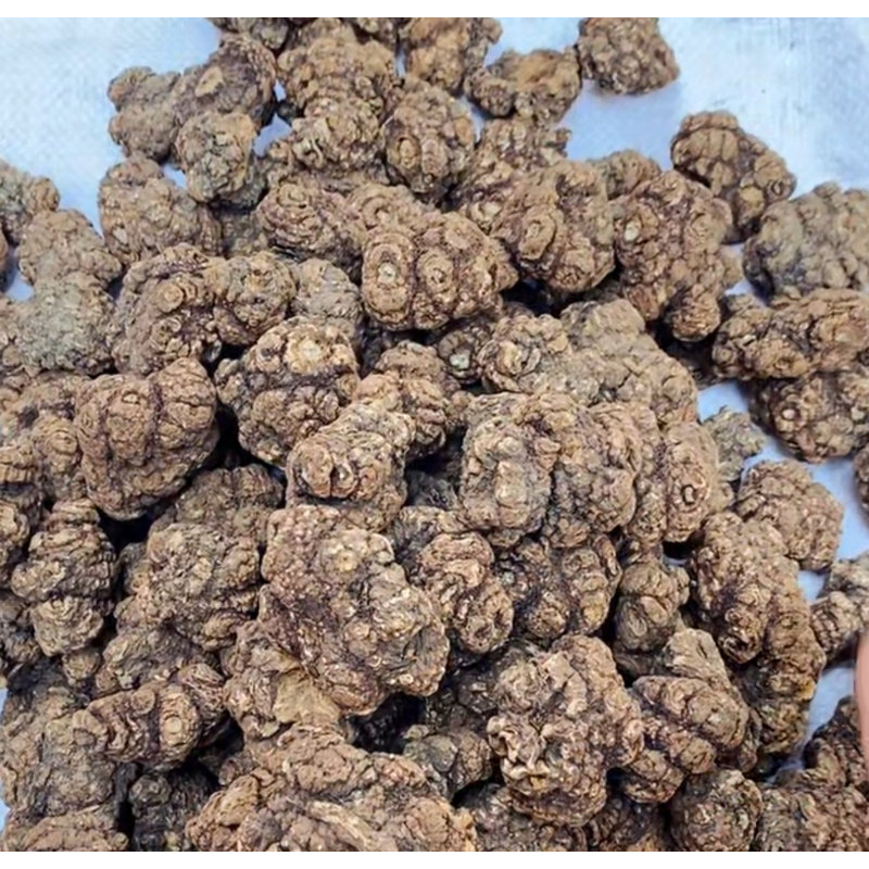 【现收好物】川✘兄  藕 250-500g