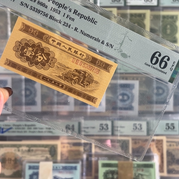 长号一分无儿福利