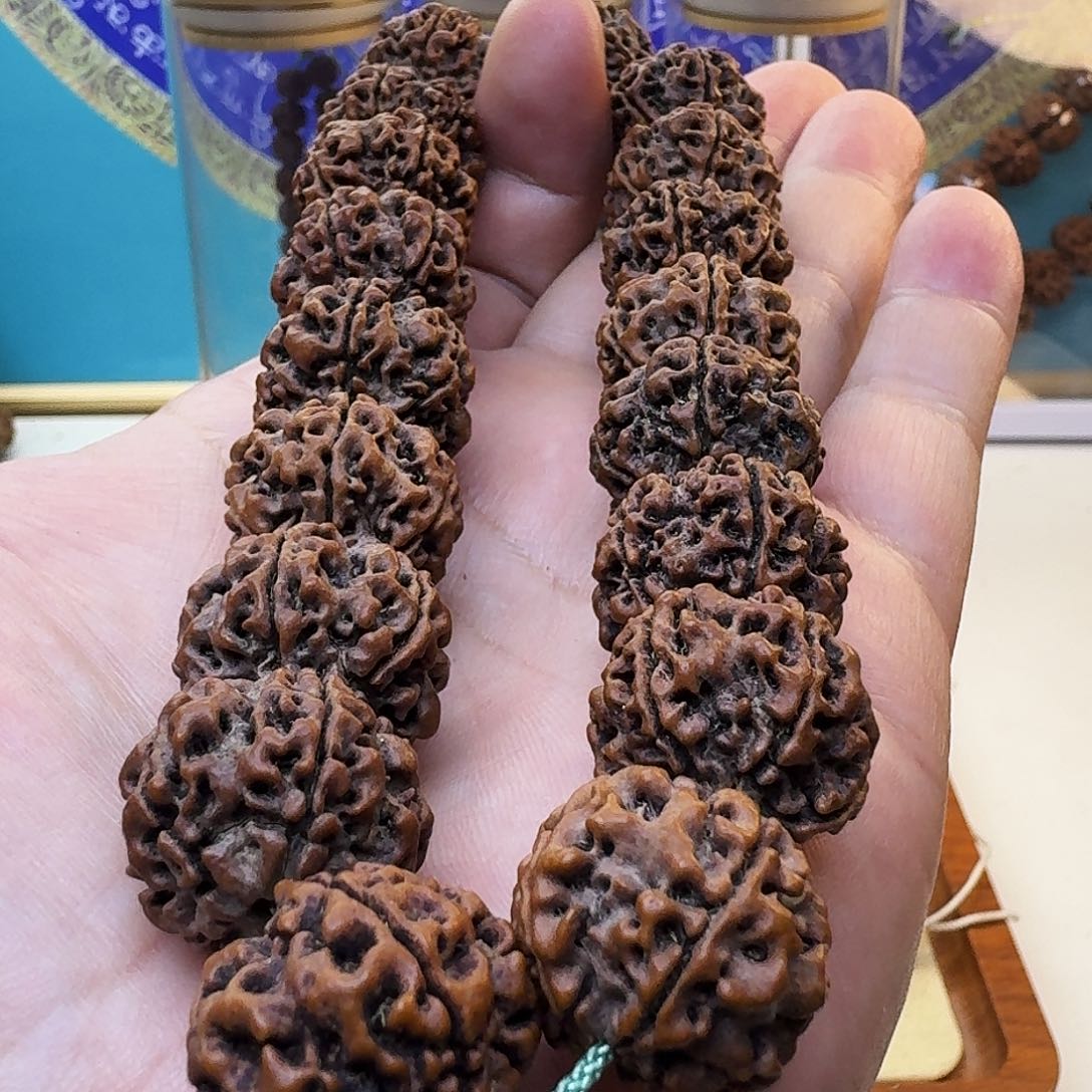 金刚菩提手串蜂王