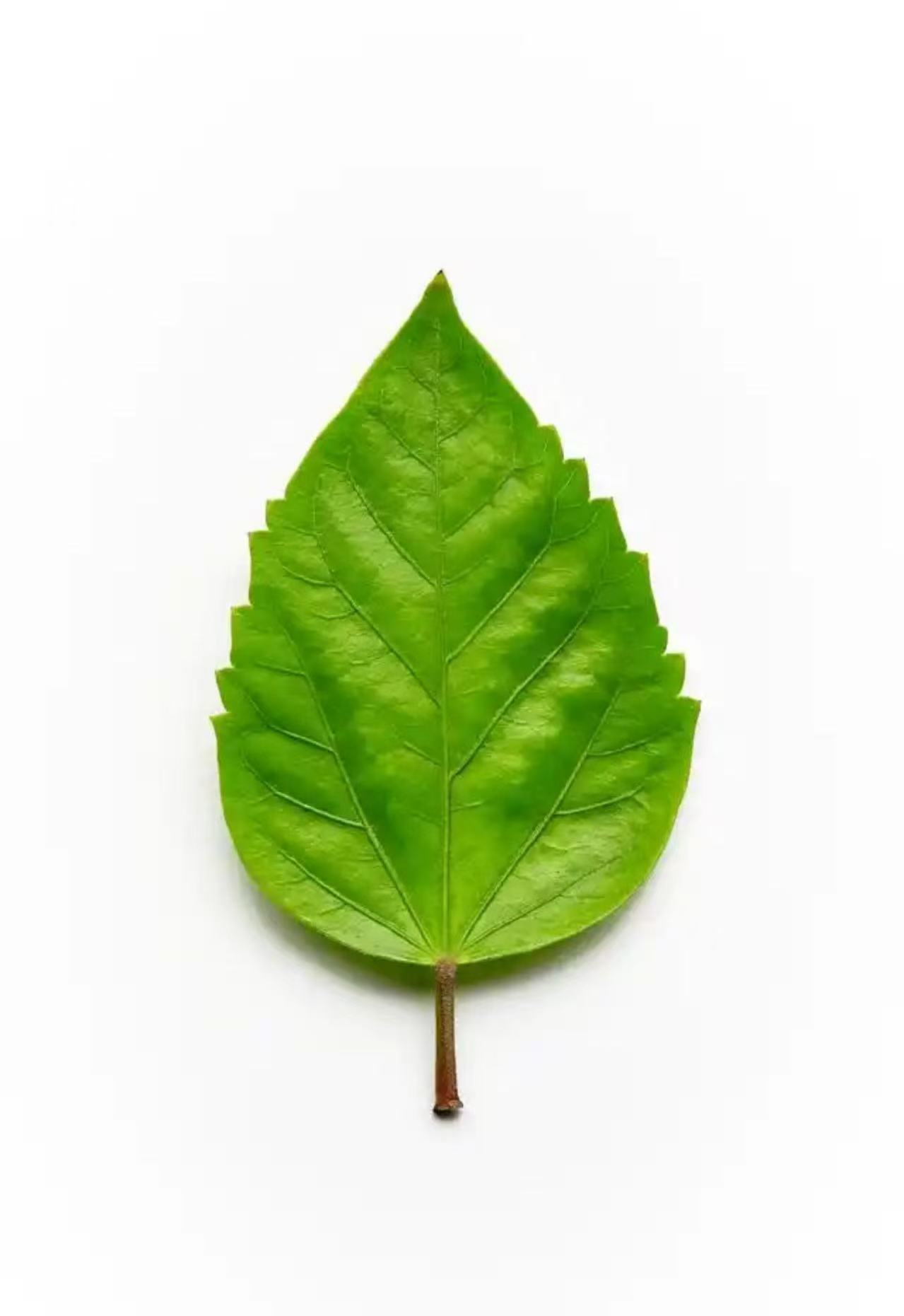 银月轩特色家居饰品摆件