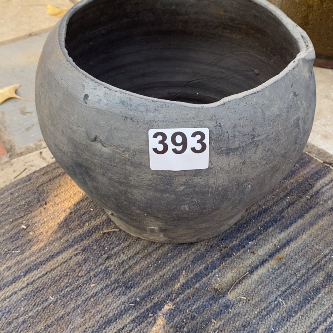 ****果罐养花养花养花养草养花养