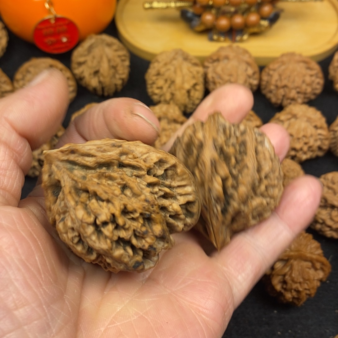 笑**生秦岭南北缘至西南的黄土