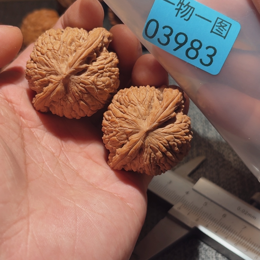 文玩核桃把件红玛瑙