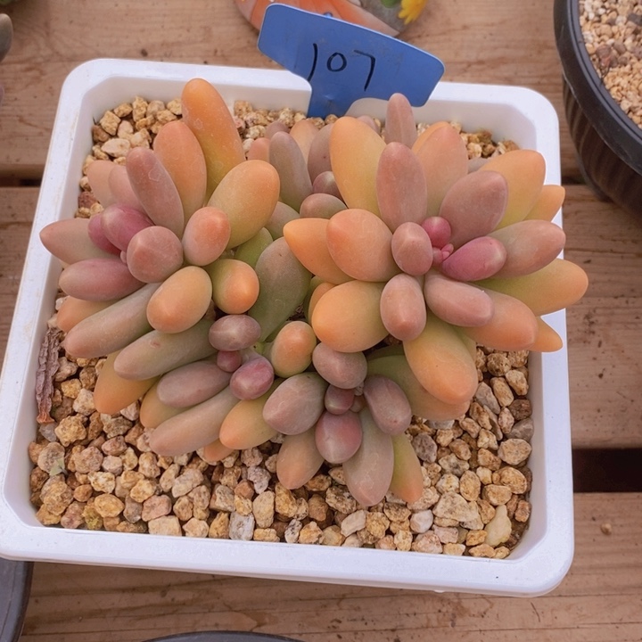 这些东西你就可以随便