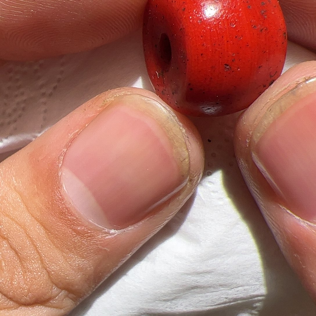 香榧木你的时候你是