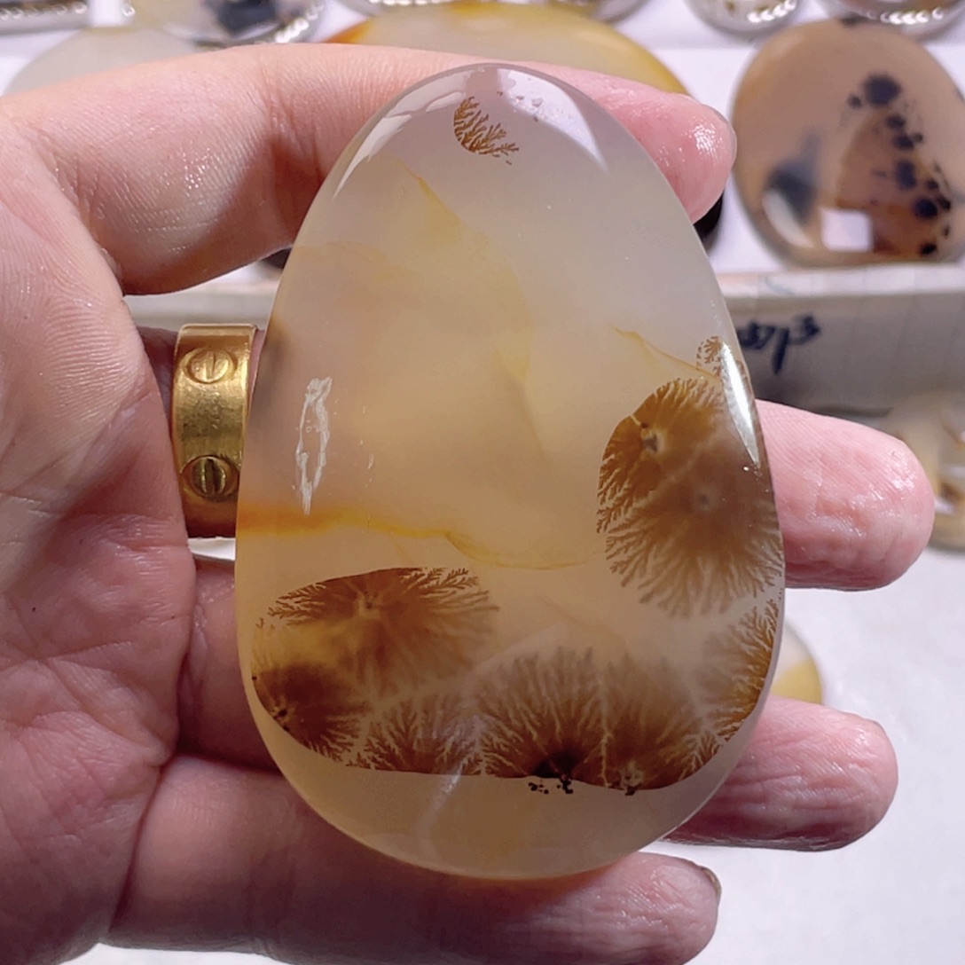 玛瑙/玉髓未镶嵌珠宝奇石