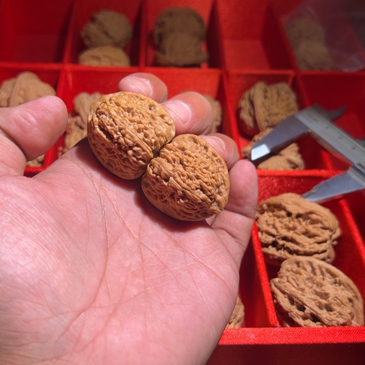 ?***?503南疆00000000