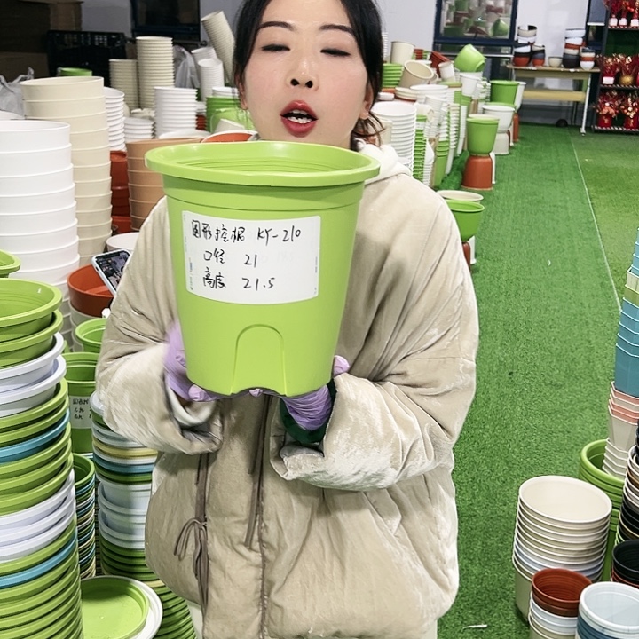 正品圆控口21高21果绿8只无托