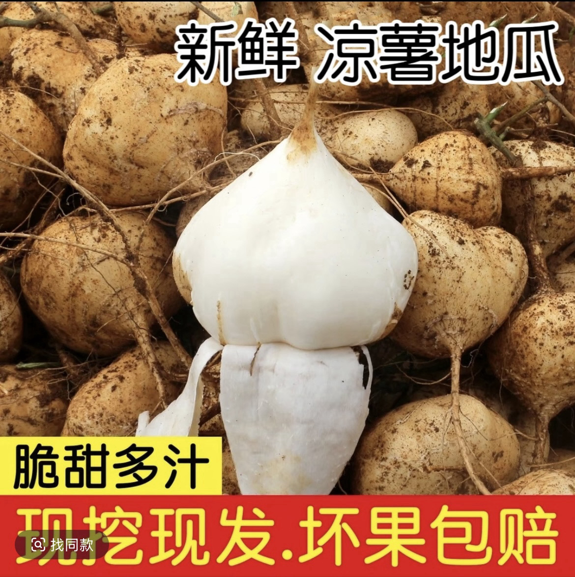 富川现挖凉薯、清甜脆口、汁多无渣、果肉细腻、当季水果