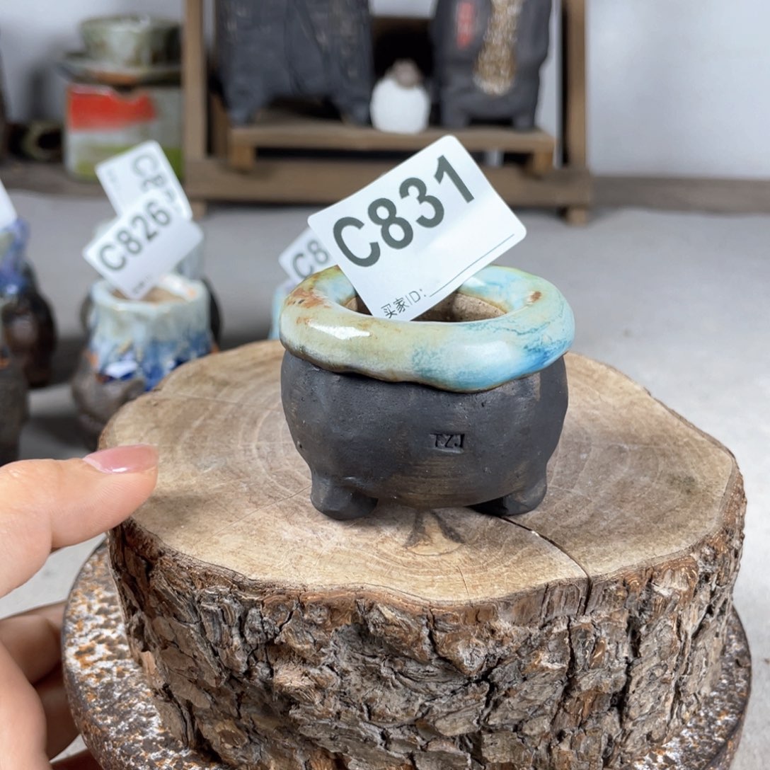 紫砂花盆新版小包子 内口3.5