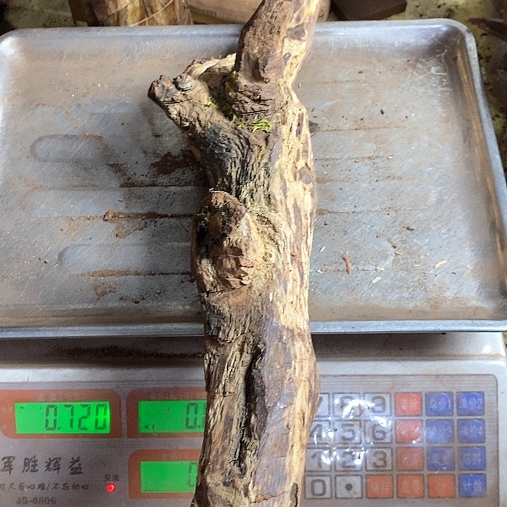 黄花梨/降香黄檀高*东