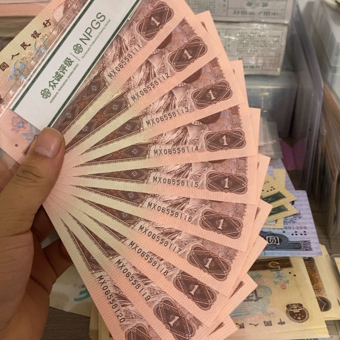 961豹子号标十连号不带347，111