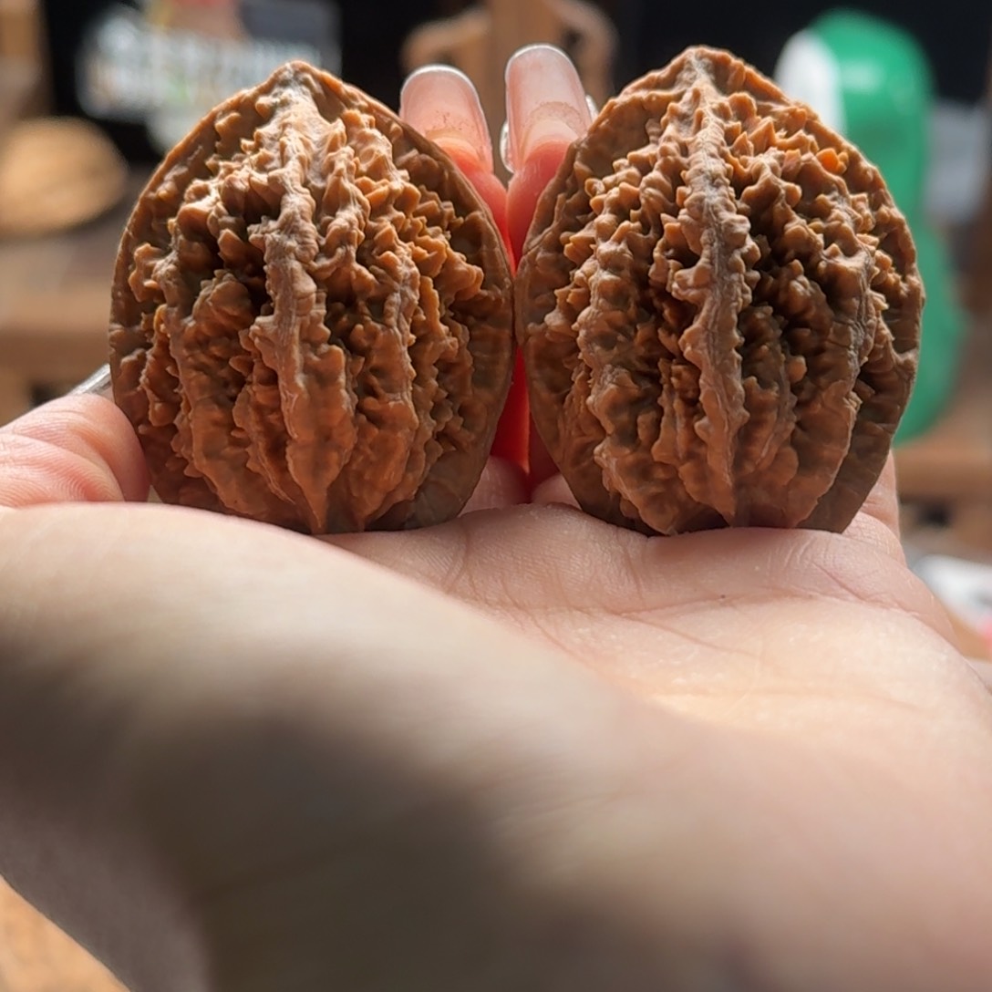 文玩核桃把件关东木子楸百核32