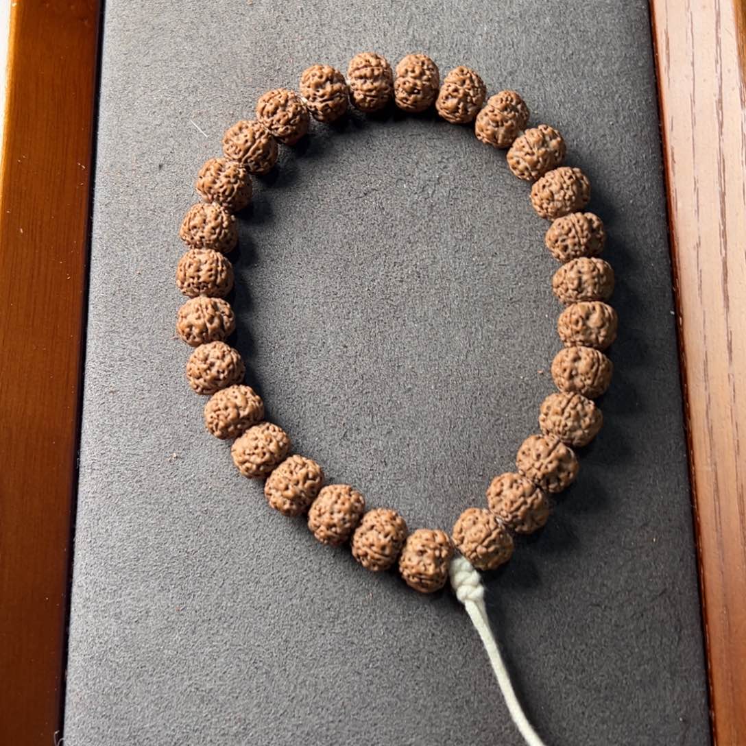 金刚菩提手串精挑平细10.9