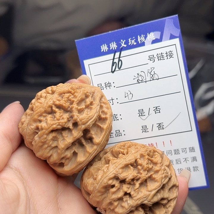 文玩核桃吊坠核桃树66