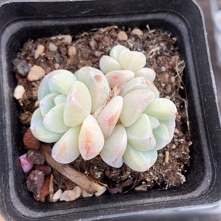 一物一拍满十元包邮 11