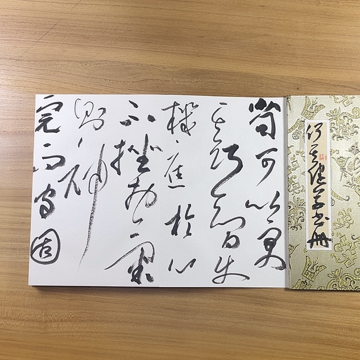 书法中书协会员作品